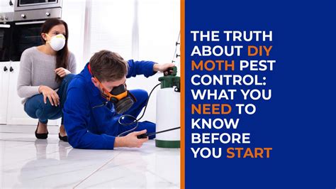 The Truth About Diy Moth Pest Control What You Need To Know Before You Start Heattech Pest