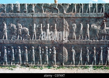 L Iran Persepolis Bas Relief Sculpture Du Lion Attaquant Un Cheval