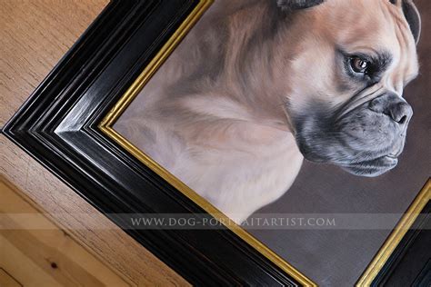 Dog Portrait Painting - Dog Portraits