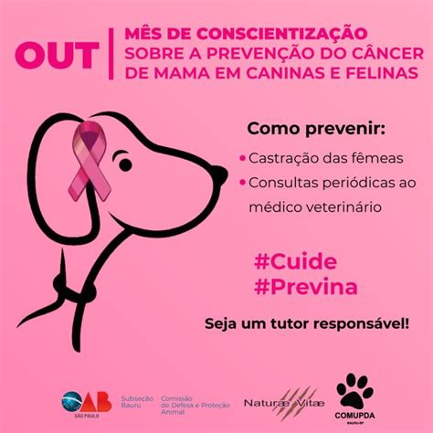 Outubro Rosinha Prevenção Do Câncer De Mama Em Caninas E Felinas