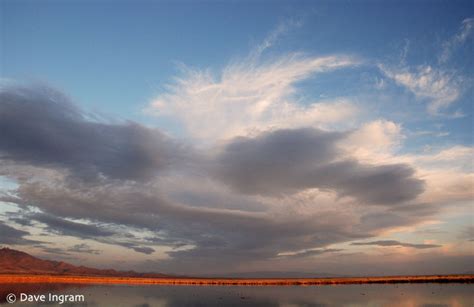 Cochise Lake Birdwatching - Arizona Skywatch #6