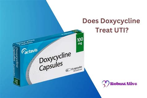 Does Doxycycline Treat UTI - Exploring the Effectiveness