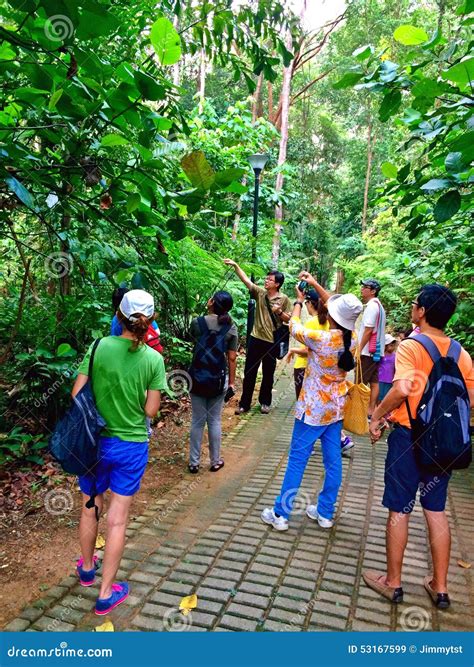 Sightseeing in Bukit Batok Nature Park, Singapore Editorial Stock Image