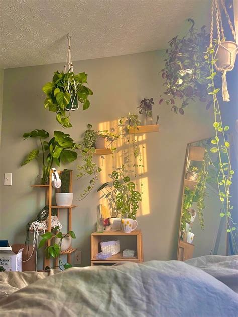 Sage Green Aesthetic Room Inspo Roomtery Artofit