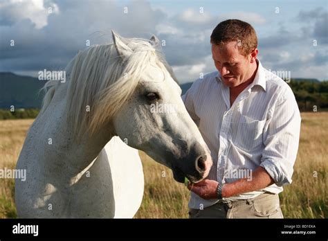 Man Feeding Horse Stock Photo Alamy