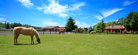 Horse farm insurance - Property and Liability Protection