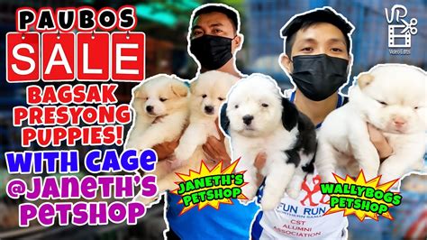 Paubos Sale Na Bagsak Presyong Puppies With Free Cage Pa Sa Janeth S