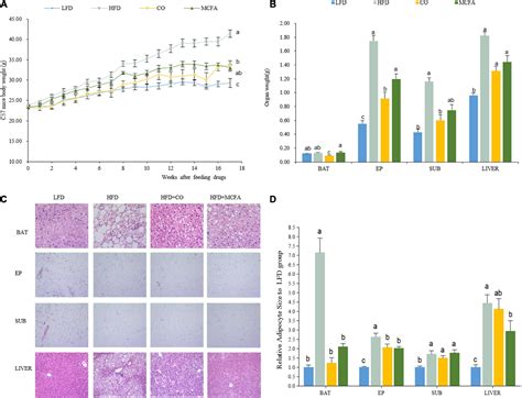 Frontiers Coconut Oil And Medium Chain Fatty Acids Attenuate High Fat