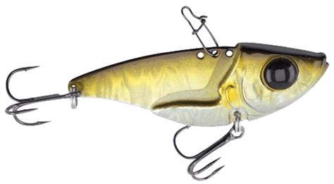 How To Find and Catch Lake Trout From Shore in the Northeast – Frog ...