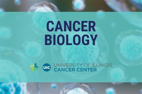 Cancer Biology Program Meeting University Of Illinois Cancer Center