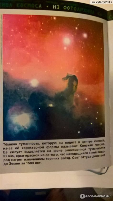 Джордж и тайны вселенной. Стивен Хокинг, Люси Хокинг - «Нескучная ...