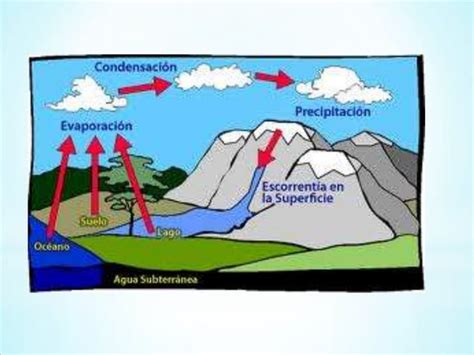 Ciclo De L Aigua De Erika Valdes Ppt