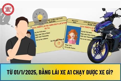 Từ 1 1 2025 bằng lái xe A1 chạy được xe gì Giấy phép lái xe bao gồm