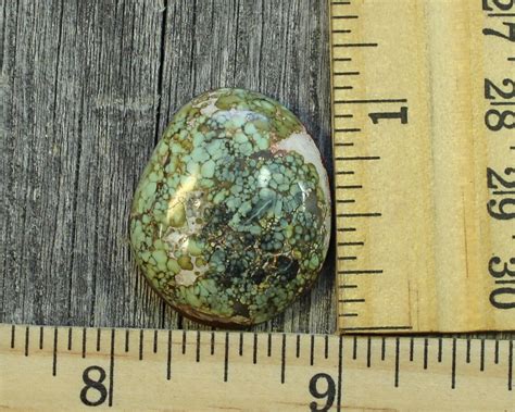 Fossil Turquoise Cabochon Candelaria Mine Rare Pseudomorph Clams C 13