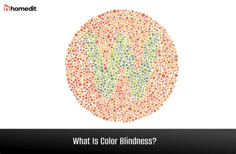 Color Blindness: How the Eye Perceives Color