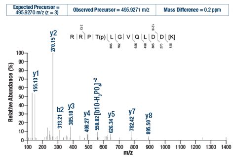 Ptmscan Control Peptides Phospho Akt Rxxs T Cell Signaling