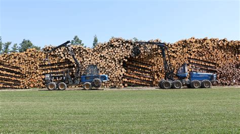 Böckli und Hofer GmbH Schweizer Holz