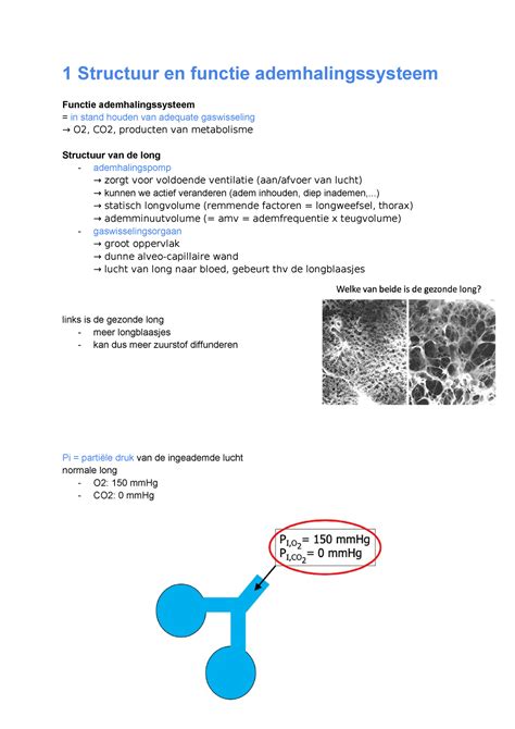 Sv De Soomer Samenvatting Menselijke Fysiologie 1 Structuur En