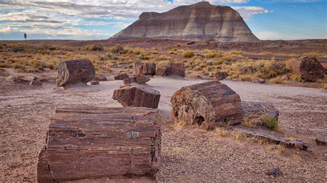 Petrified Forest National Park