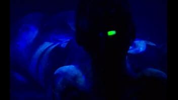 Really Weird XVIDEOS