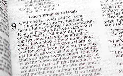 When Did Noah Live Genesis Explained Christianity Faq