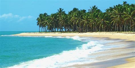 Praia do Gunga próxima a Maceió 2025 Dicas de Maceió e Maragogi