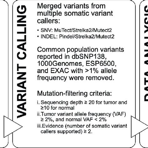 Computational pipeline for whole exome sequencing data. Workflow ...