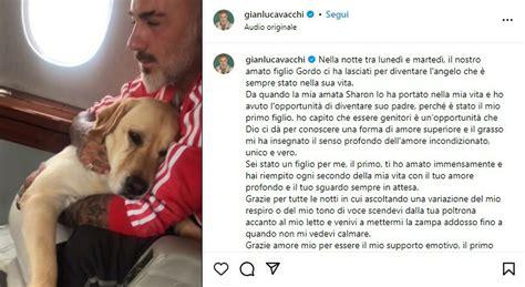 Unlock the Mysteries of Gianluca Vacchi’s Wake-Up Call Explained in His Wiki - Veja Store Site
