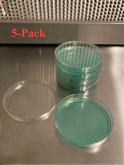 Pre Poured Sterilized Malt Agar Plates 5 Pack