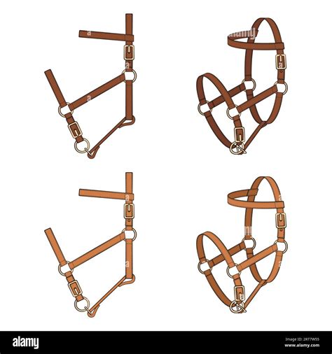 Set Of Color Illustrations With Leather Halter Headstall Bridle