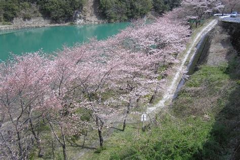 水源地ネット