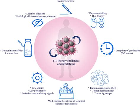 Frontiers Tumor Infiltrating Lymphocytes For Treatment Of Solid