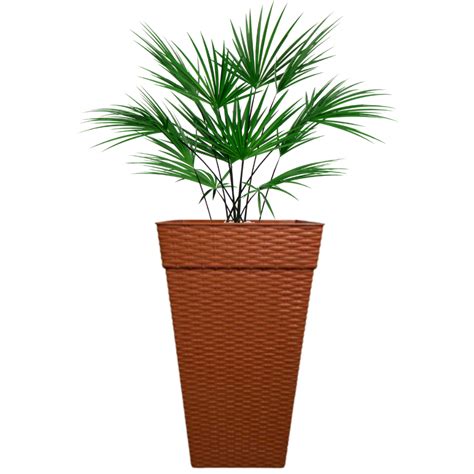 Vaso Grande Quadrado Rattan Flores E Plantas 28L Shopee Brasil