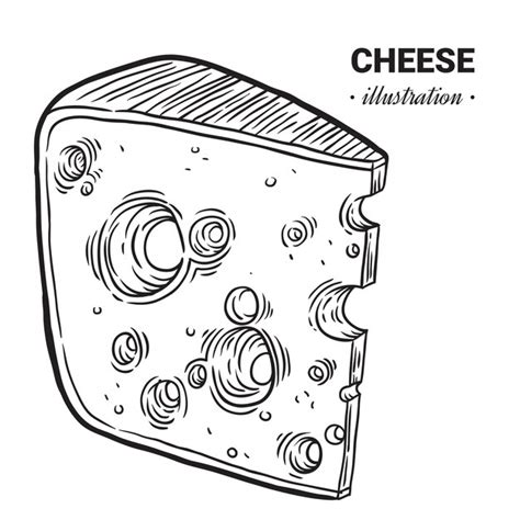 Premium Vector Hand Drawn Cheddar Cheese Illustration