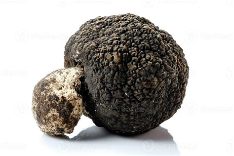 Black truffle mushroom isolate on white background .Generative Ai ...