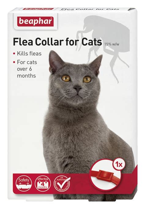 How To Kill Fleas Choosing The Right Flea Treatment Beaphar