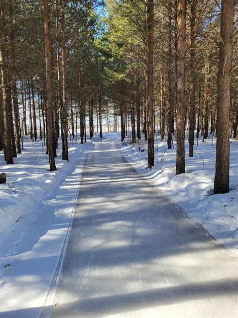 Ice skating in the woods!