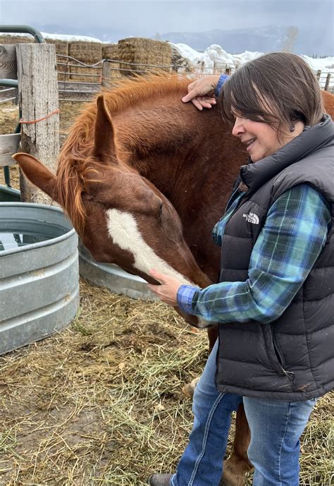 Massage and Body Therapy – Columbia Veterinary Hospital