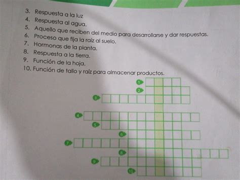 completa y encuentra la palabra escondida 1 parte de la planta dónde