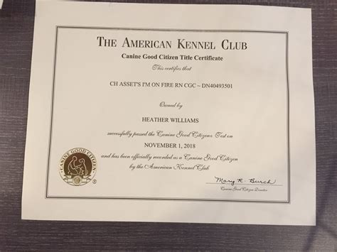 Bella and Glen both earn their AKC Canine Good Citizen Awards - Asset ...