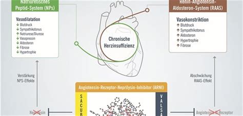 Arznei Erh Ht Chance Auf L Ngeres Leben Bei Chronischer Herzinsuffizienz