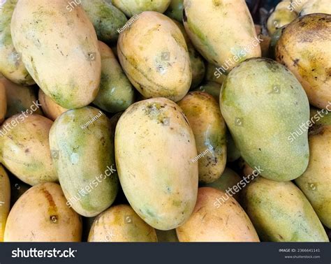 mungil images stock   objects vectors shutterstock