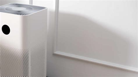 Best Air Purifiers For Mold Of