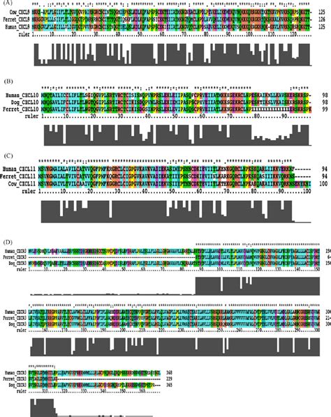 Multiple Alignments Of The Primary Amino Acid Sequences Of Cxcl