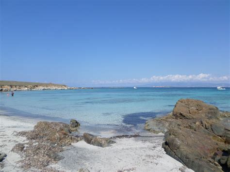 Noleggio Gommoni Senza Patente All Isola Di Mal Di Ventre Sardegna