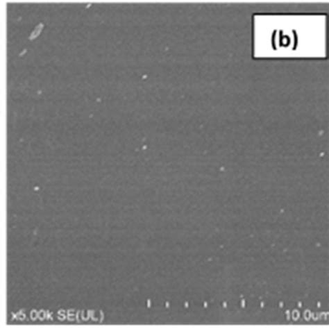 SEM Micrographs Of Blend PSF SPEEK Membrane A Cross Section B