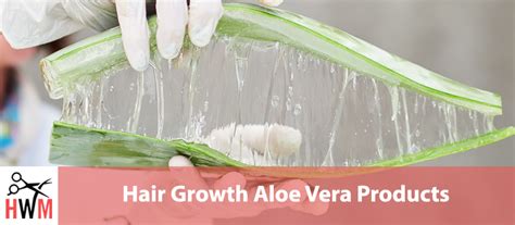 Aloe Vera for Hair Growth: Everything You Need to Know - Hair World ...