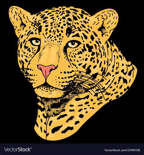 Leopard face tattoo print Royalty Free Vector Image