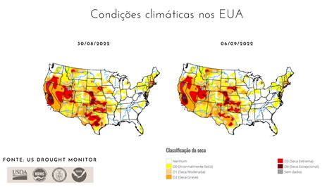 USDA confira as condições das lavouras de soja e milho dos EUA MAIS