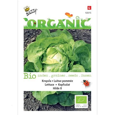 Lactuca sativa Hilde II Økologiske frø Buzzy Organic Seeds